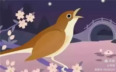 《夜莺》安徒生童话故事